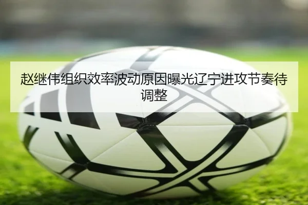 赵继伟组织效率波动原因曝光辽宁进攻节奏待调整